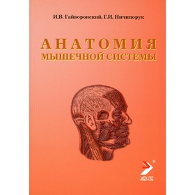 

Анатомия мышечной системы (мышцы, фасции и типография). 11-е издание, переработанное и дополненное