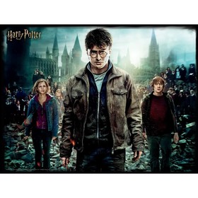 

3D Пазл «Гарри, Гермиона и Рон», 500 элементов
