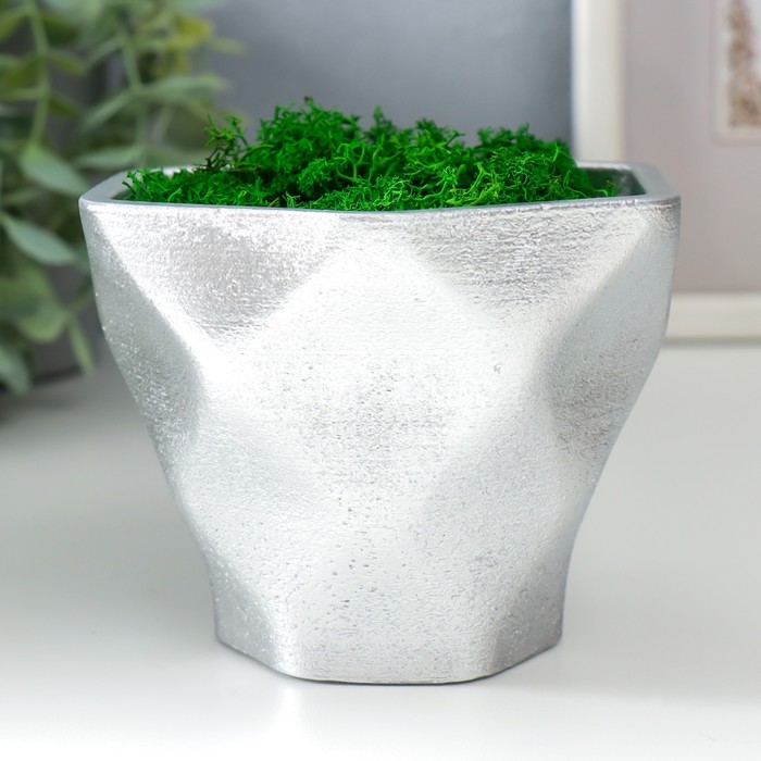 Кашпо бетонноеФантазиявысота 9 см серебристое со мхом (мох зеленый стабилизированный)