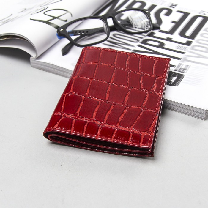 Обложка на автодокументы и паспорта, 5 отделов для карт, красный скат