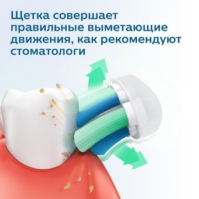 

Электрическая зубная щетка Philips Sonicare HX3671/13, звуковая, 31000 дв/мин, белая