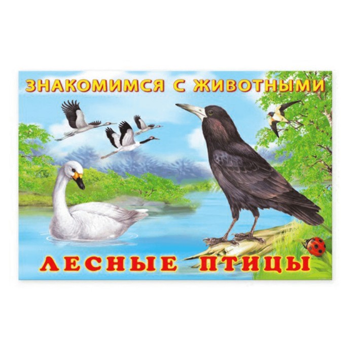 

Лесные птицы