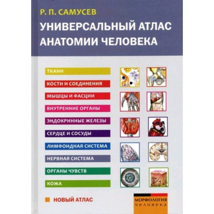 Универсальный атлас анатомии человека. Самусев Р.П. универсальный атлас анатомии человека самусев р п