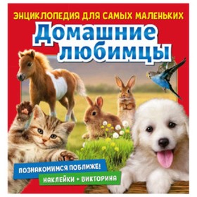

Познакомимся поближе! Домашние любимцы