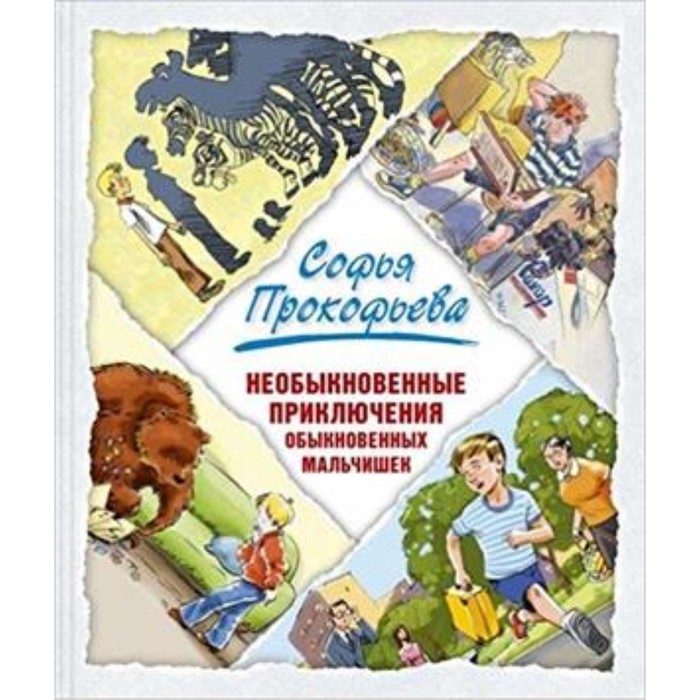 

Необыкновенные приключения обыкновенных мальчишек. Прокофьева С.Л.