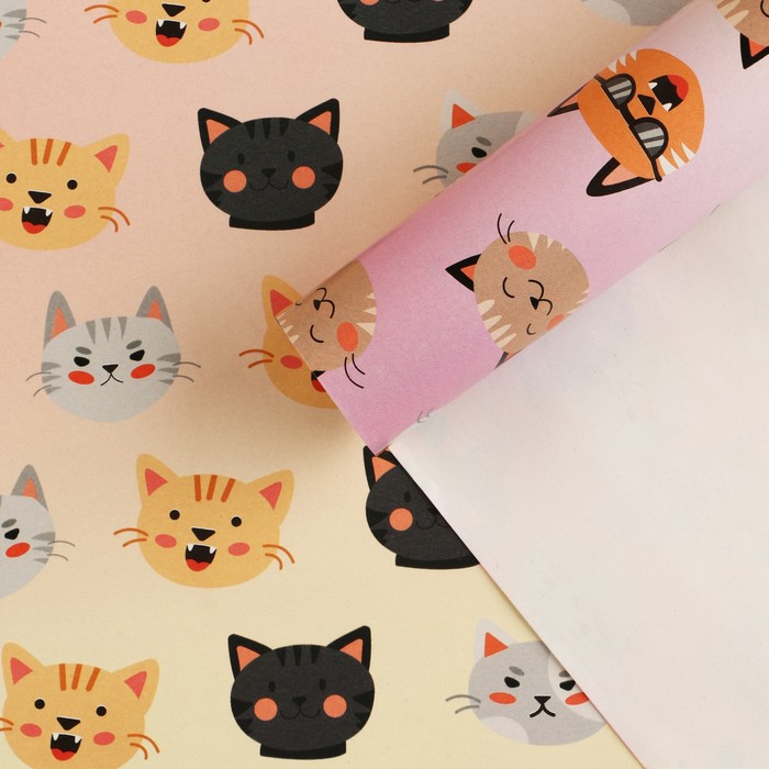 Бумага упаковочная глянцевая «Коты», 70 × 100 см
