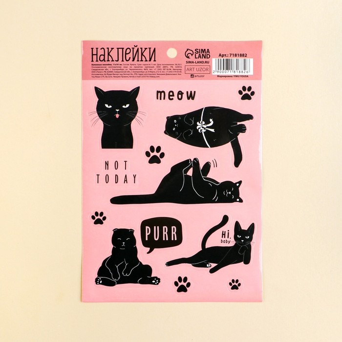 

Наклейки бумажные «Хитрый кот», 11 × 16 см