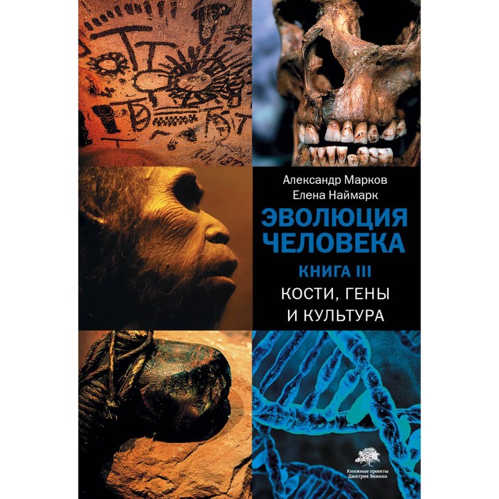 фото Эволюция человека. в 3-х книгах. книга 3. кости, гены и культура. марков а.в., наймарк е.б. аст