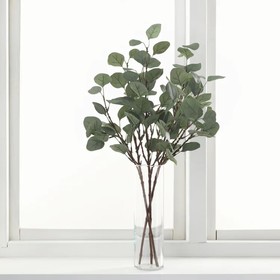 

Искусственный листок эвкалипта СМИККА, 65 см, цвет зелёный
