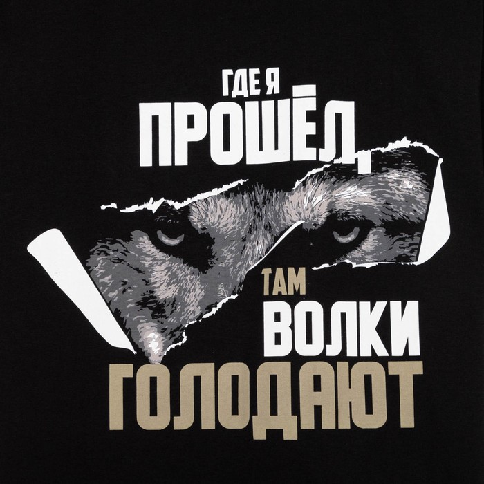 Футболка мужская KAFTAN