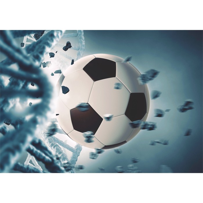 Фотообои К-153 Симфония 