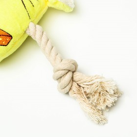 Игрушка мягкая для собак "Веселая мышка" с канатом и пищалкой, 20 х 13 см, жёлтая от Сима-ленд