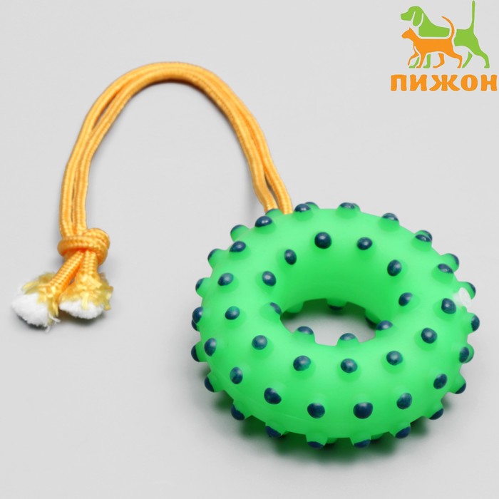 фото Игрушка пищащая "кольцо на веревке" для собак, 10 см, зелёная пижон