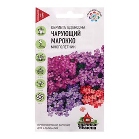 Семена Обриета "Чарующий Марокко", 0,05 г