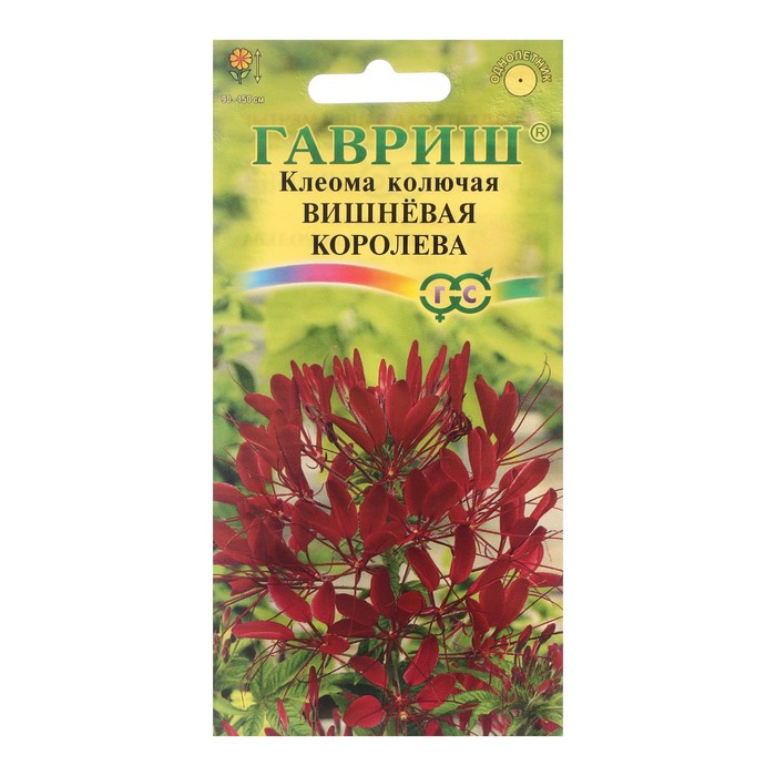 

Семена цветов Клеома "Гавриш" колючая "Вишневая королева", однолетник, 0,3 г