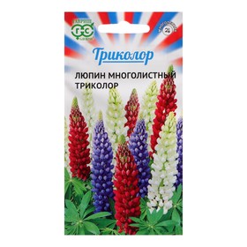 Семена цветов Люпин "Триколор", смесь, 0,6 г