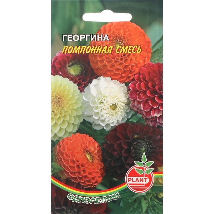 

Семена цветов Георгина "Помпонная" смесь, 0,1 г