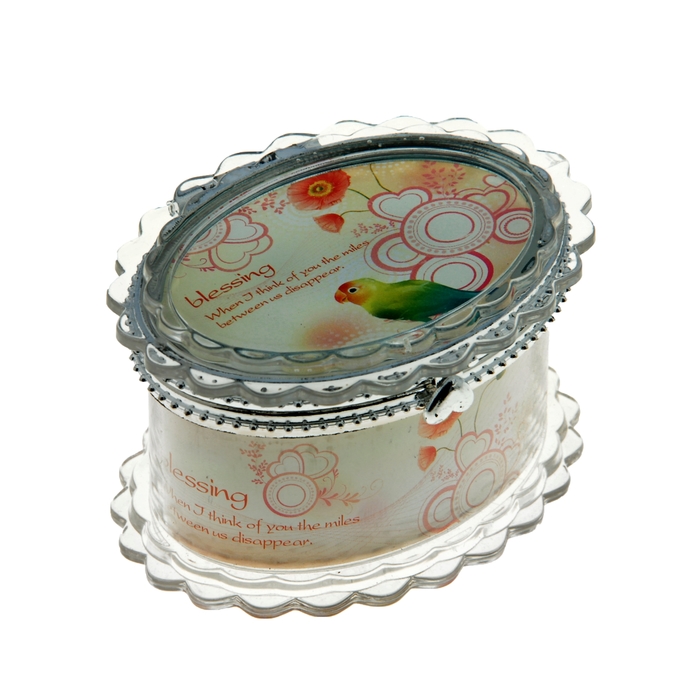 Шкатулка "Попугайчик", МИКС