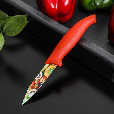 Нож с антиналипающим покрытием Доляна «Урожай», овощной, лезвие 8 см