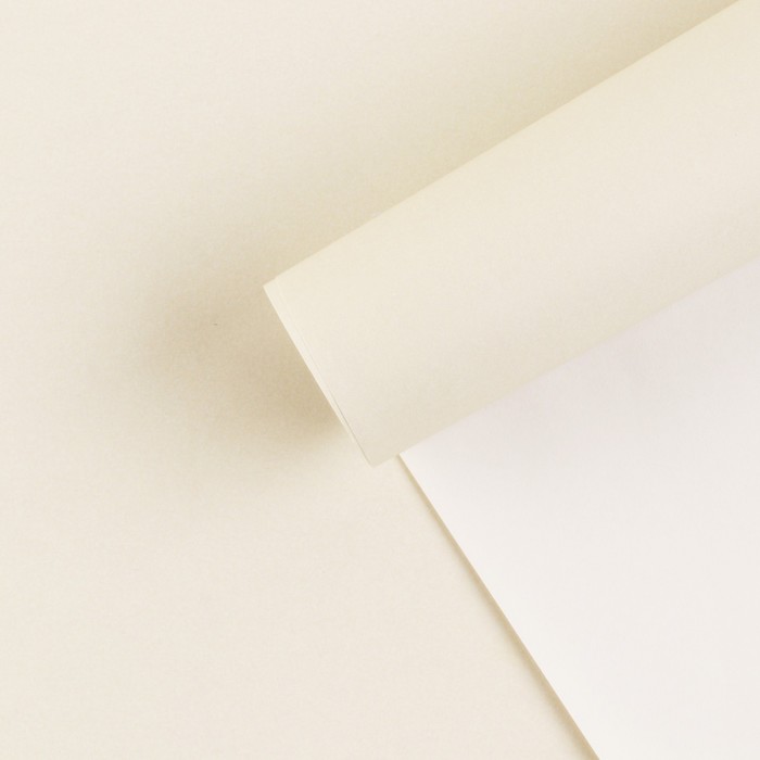 Бумага упаковочная крафтовая «Молочная», 70 х 100 см бумага упаковочная крафтовая нашивки 70 × 100 см