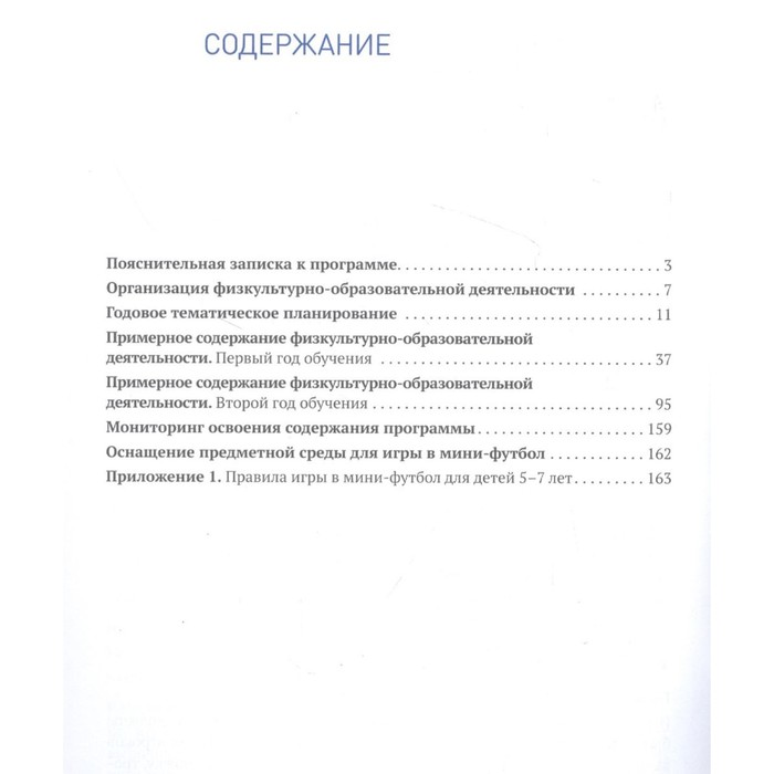 фото Парциальная программа «быстрый мяч». мини-футбол для дошкольников 5-7 лет. фгос. дополнительное образование в доо мозаика-синтез