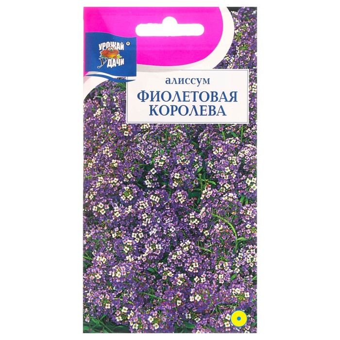 цена Семена цветов Алиссум Фиолетовая королева, 0,1 г
