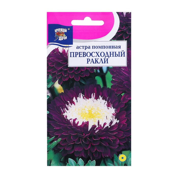 Семена цветов Астра помпонная Превосходный Ракли, 0,2 г