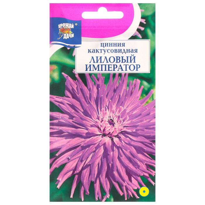 семена цветов цинния кактус лиловый император 0 2 г Семена цветов Цинния кактус Лиловый император, 0,2 г