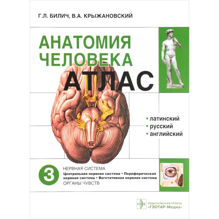 Анатомия человека. Атлас. Том 3. В 3-х томах. Билич Г., Крыжановский В.