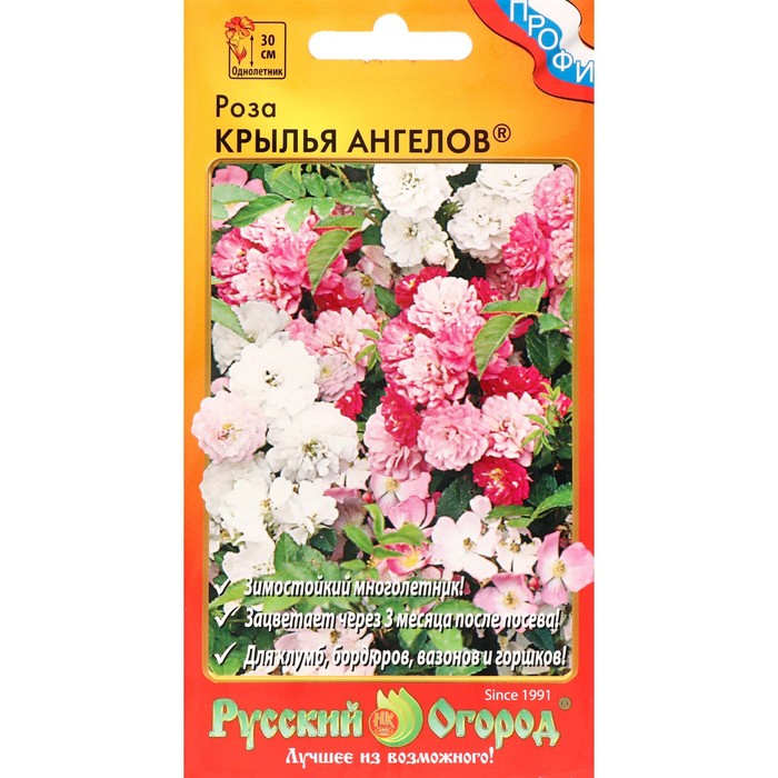 Семена цветов Роза Крылья Ангелов, 10 шт.