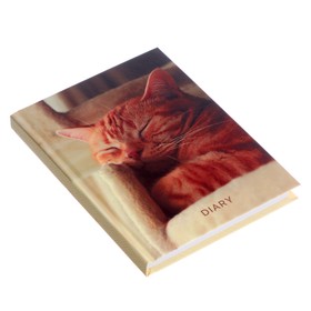 

Ежедневник недатированный А6, 112 листов «Домашний тигр», матовая ламинация, блок офсет