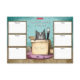 

Расписание уроков ErichKrause Cat Box, А4
