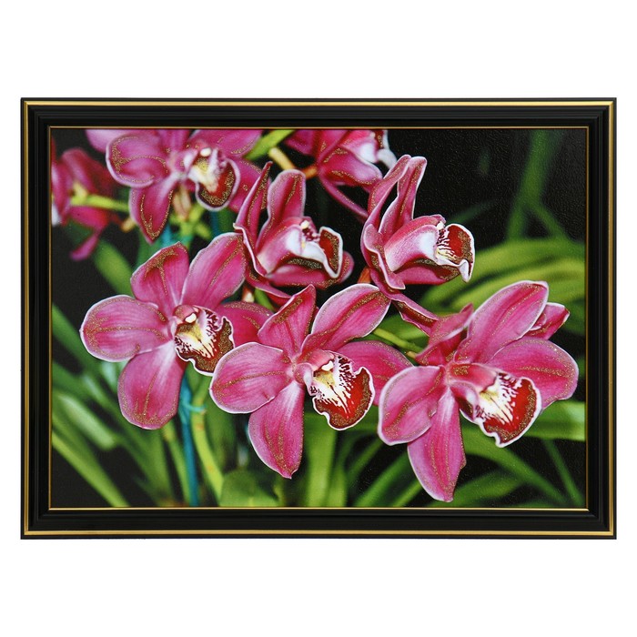 

Картина "Орхидеи" 25 х 35(28х38) см