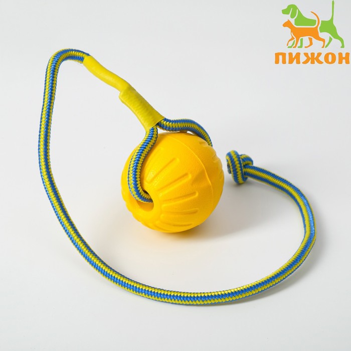 Мяч из EVA на верёвке, для дрессировки, 7 см, жёлтый