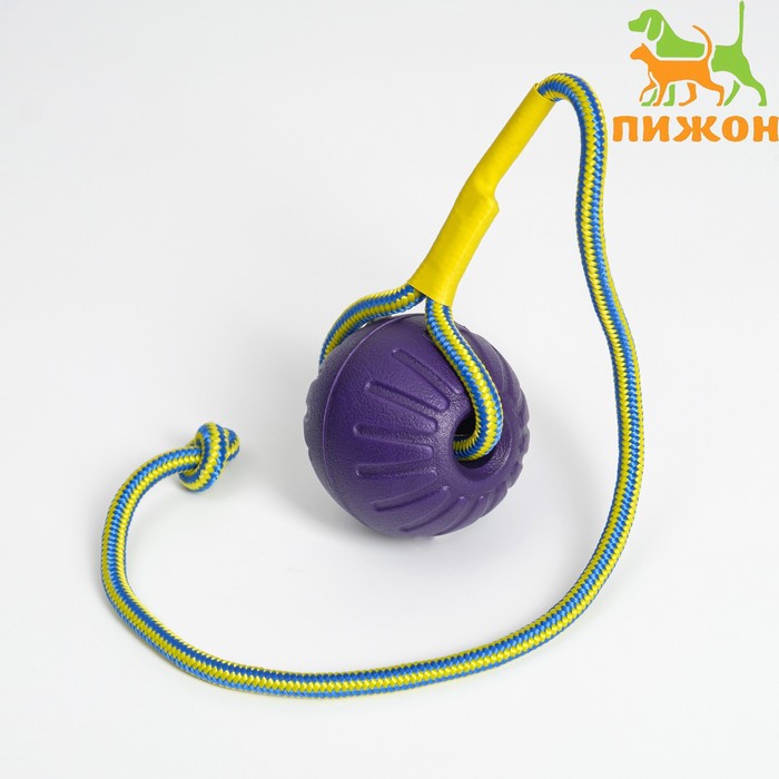Мяч из EVA на верёвке, для дрессировки, 7 см, фиолетовый