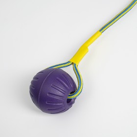 Мяч из EVA на верёвке, для дрессировки, 7 см, фиолетовый от Сима-ленд