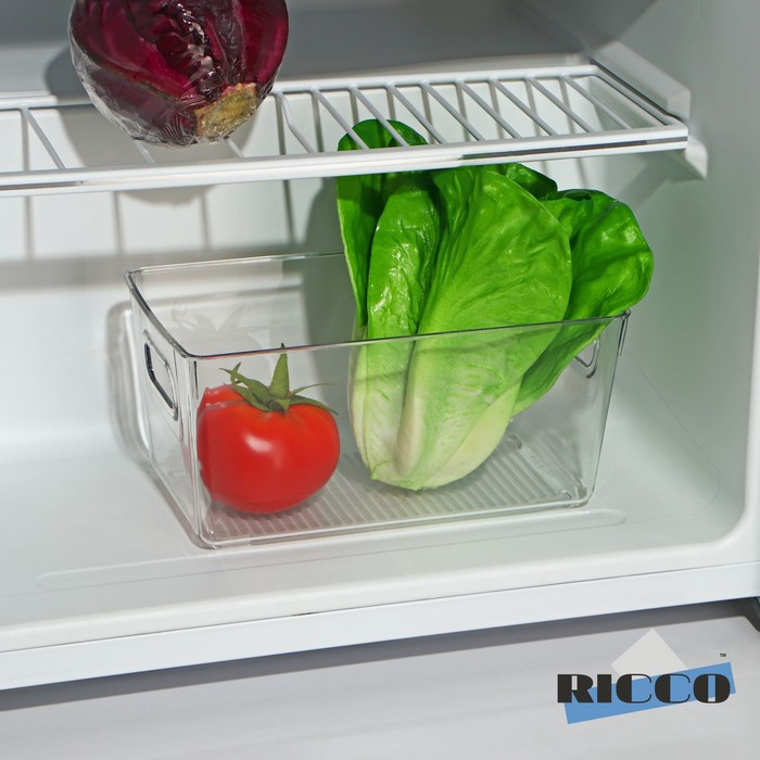 Контейнер для холодильника RICCO, 23,5×13×11 см