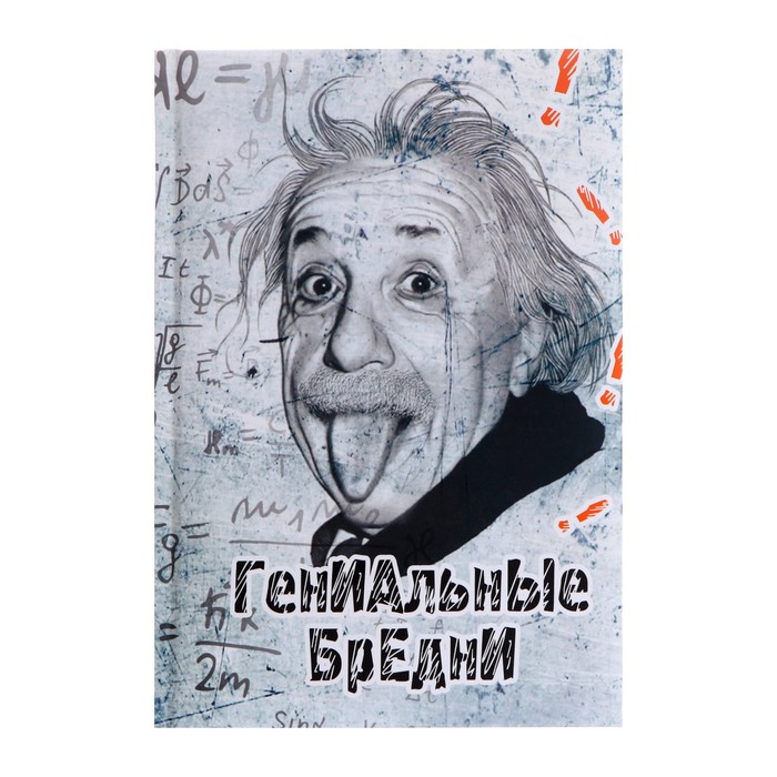 

Записная книжка А5, 128 листов "Гениальные бредни", твёрдая обложка с поролоном, матовая ламинация, дизайнерский блок