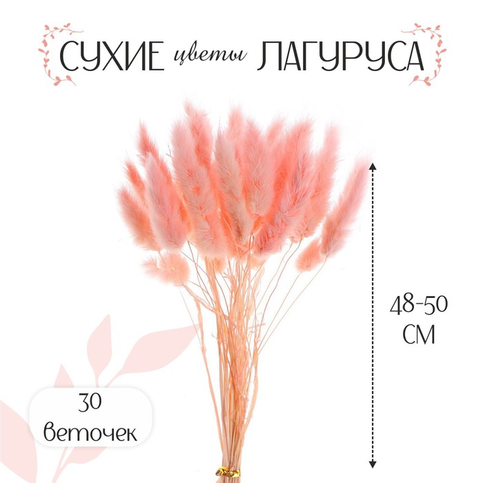 

Сухие цветы лагуруса, набор 30 шт., цвет розовый