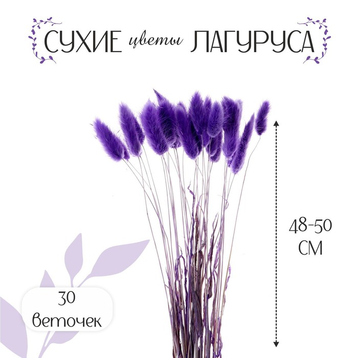 

Сухие цветы лагуруса, набор 30 шт., цвет фиолетовый