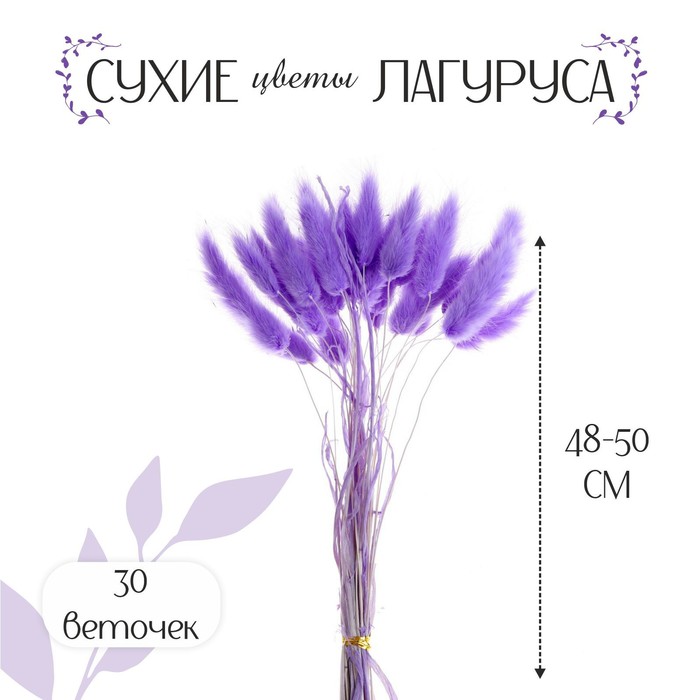 Сухие цветы лагуруса, набор 30 шт, цвет светло фиолетовый