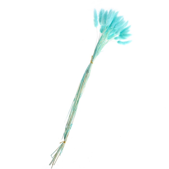 Сухие цветы лагуруса, набор 30 шт, цвет голубой