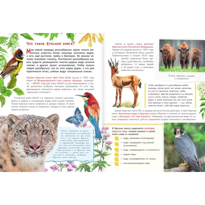 фото Красная книга для детей издательство «аст»