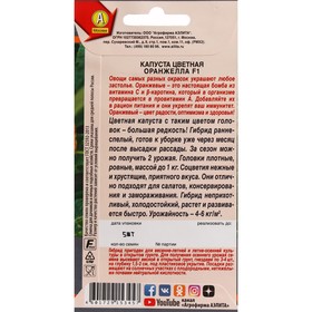 

Семена Капуста "Аэлита" цветная "Оранжелла", F1, ц/п, 5 шт.