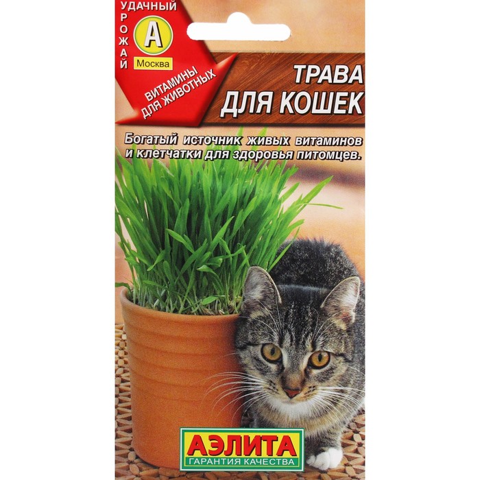 Семена Трава для кошек, ц/п, 20 г семена трава для кошек ц п 20 г 5 упак