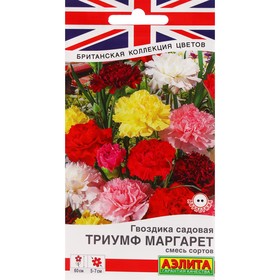 Семена Цветов Гвоздика садовая Триумф Маргарет, смесь сортов ---   Дв Британская коллекция ц