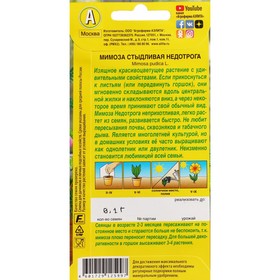 

Семена Цветов Мимоза "Недотрога", ц/п, 0,1 г