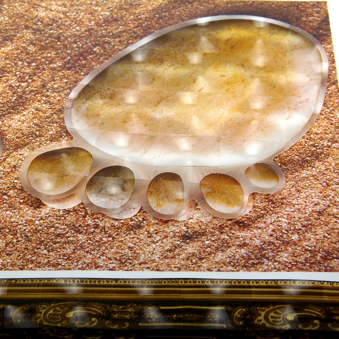 Наклейка интерьерная "Спа-салон", композиция из 4 шт