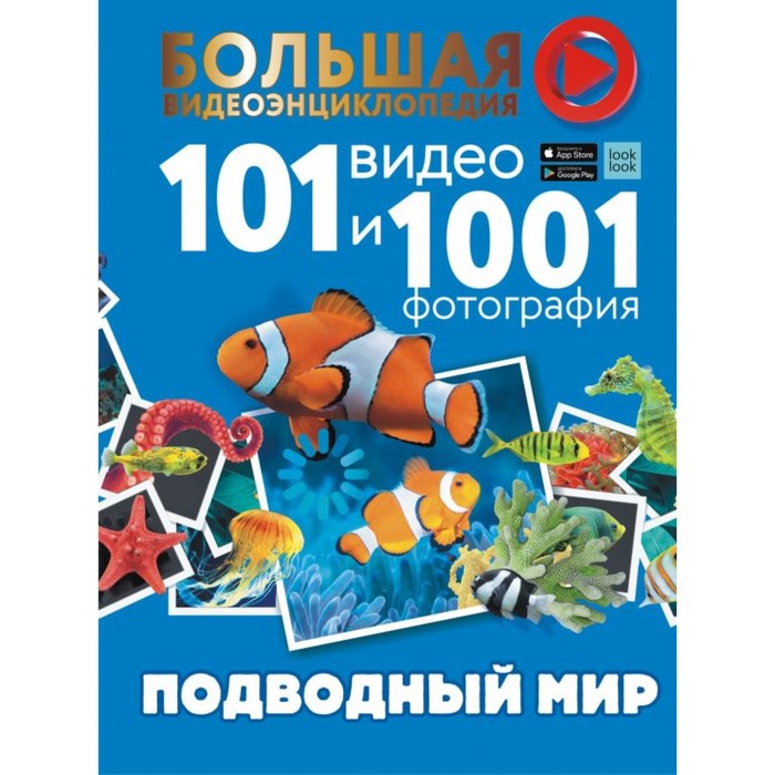 

Подводный мир. 101 видео и 1001 фотография