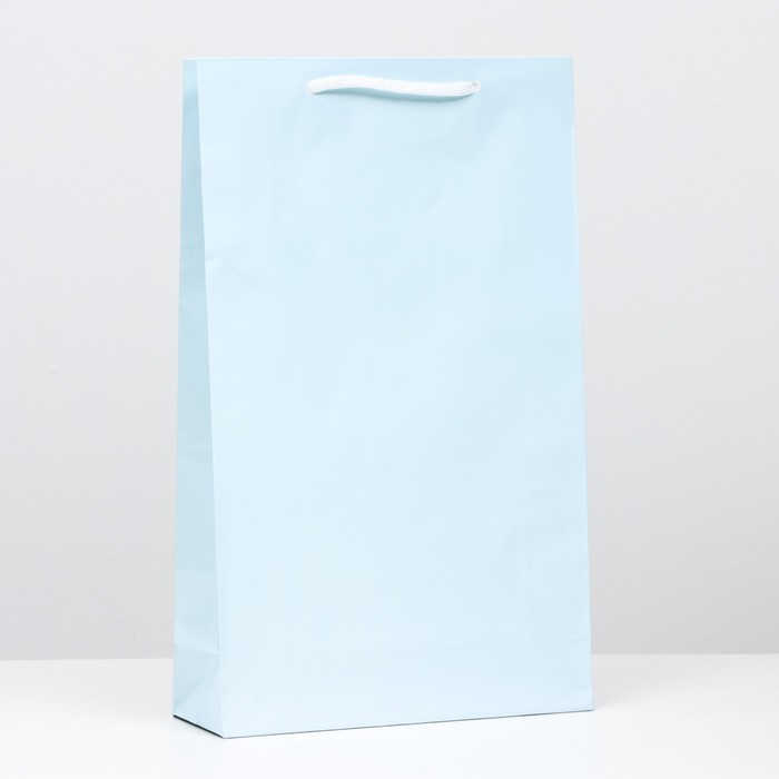 Пакет ламинированный, голубой, 40,5 х 24,8 х 9 см, набор 12 шт.